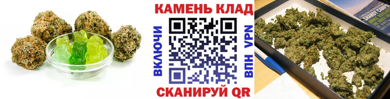 Cannafood марихуана  Сланцы 