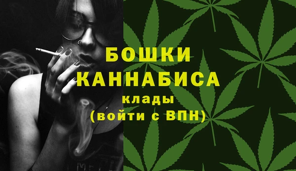 прущие грибы Дмитриев