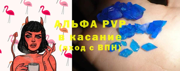 прущие грибы Дмитриев