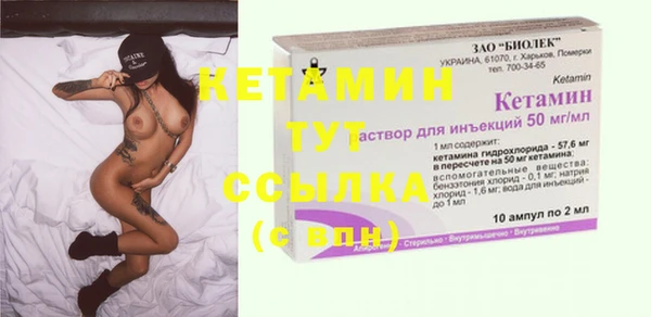 прущие грибы Дмитриев