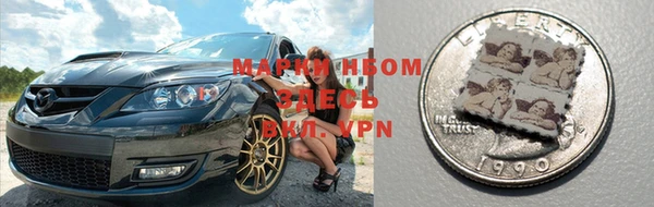 прущие грибы Дмитриев