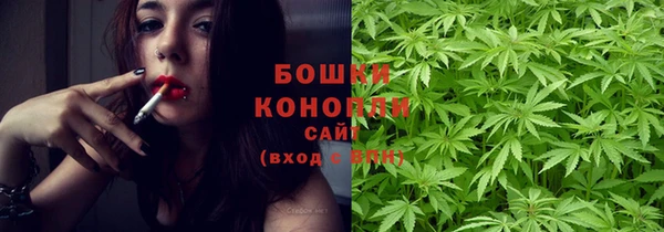 ГАЛЛЮЦИНОГЕННЫЕ ГРИБЫ Остров