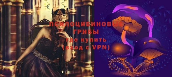 прущие грибы Дмитриев