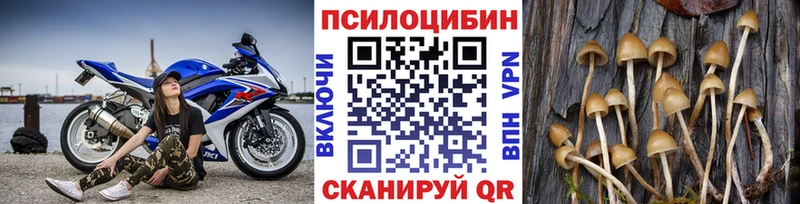 как найти   Сланцы  Псилоцибиновые грибы MAGIC MUSHROOMS 