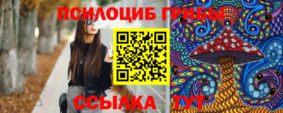 Псилоцибиновые грибы Magic Shrooms Сланцы