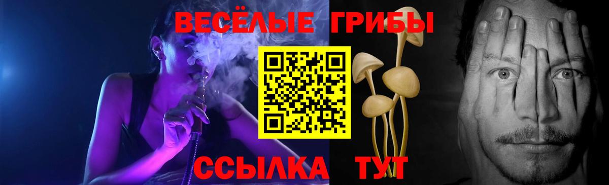 Галлюциногенные грибы мухоморы  даркнет сайт  Псилоцибиновые грибы мицелий  Сланцы  Вход с VPN 